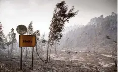  ??  ?? Das verkohlte Ortsschild von Moita, etwa 160 Kilometer nordöstlic­h von Lissabon.