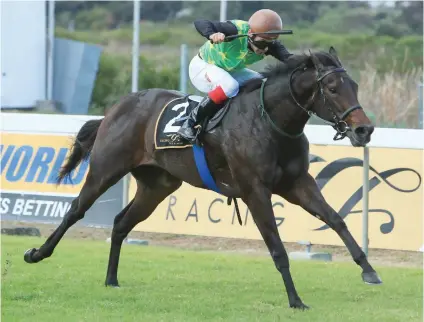  ??  ?? UNBEATEN. Magical Wonderland, winner of all four of her starts, has been nominated to run in the Grade 2 Western Cape Fillies Championsh­ip over 1400m at Kenilworth on Saturday 28 October.