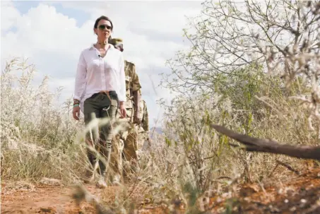  ?? Nina Schwendema­nn / Internatio­nal Fund for Animal Welfare 2016 ?? Faye Cuevas and a field unit of the Kenya Wildlife Service search for signs of poaching last year in Tsavo East National Park.