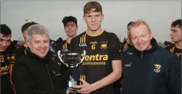  ??  ?? Liam Stafford, Munna Abbáin’s captain, with Andrew Egan of Greenstar (sponsors) and Micheál Martin (County Board Vice-Chairman).