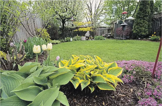  ?? KATHY RENWALD PHOTOS SPECIAL TO THE HAMILTON SPECTATOR ?? Spring cleanup in Kathy MacFarlane’s garden is a pleasant experience, with birds visiting the feeder while you work.