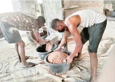  ?? ?? Youths preparing fish feeds in the community