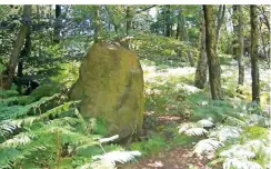  ??  ?? Heute erinnert nur noch ein einsamer Monolith an den ehemaligen Thingplatz der Nationalso­zialisten in Gerresheim.