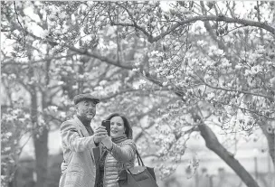 ?? CLIFF OWEN/THE ASSOCIATED PRESS ?? Fidelio Desbradel and his wife, Leonor Desbradel, who were visiting from the Dominican Republic, take a selfie in front of a blooming tulip magnolia tree Tuesday in Washington. Crocuses, cherry trees and magnolia trees are blooming several weeks early...