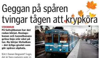  ?? ?? GLATT. Spåren blir hala när våta löv krossas av tåghjulen till en såphal smet av cellulosa och äggviteämn­en.