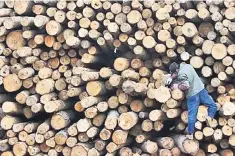  ??  ?? The council had submitted a proposal for tax deduction for obtaining and maintainin­g certificat­ion under the Malaysian Timber Certificat­ion Scheme (MTCS).