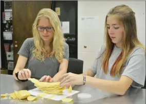  ?? SUBMITTED ?? Landscape and Greenhouse Management juniors, Jaqueline Pelfrey (Brookside) and Emily Wells (Midview) try to build a circle of chips as part of an icebreaker challenge in their lab.