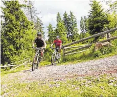  ??  ?? In Baden-Württember­g finden Montainbik­er unzählige Trails.
