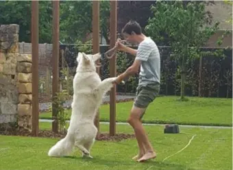  ?? FOTO TOM DUMOULIN ?? Van in de tuin spelen met de hond, daar wordt Tom Dumoulin naar eigen zeggen gelukkig van.