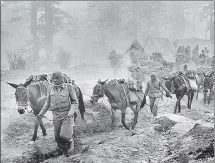  ?? GETTY IMAGES ?? Mules carry ammunition over a mountain pass during the 1962 war.