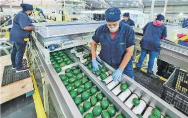  ?? ?? En 2022 Jalisco fue líder nacional al generar 82,963 empleos.