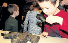  ??  ?? Nathan West, 6, of Fonthill experience­s what it might be like to be a paleontolo­gist during Family Day celebratio­ns.