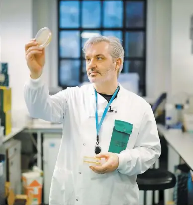  ?? PHOTO AFP ?? Des chercheurs londoniens testent des vaccins pour contrer le coronaviru­s sur des souris. On voit ici le docteur Paul McKay observer un contenant rempli de fragments de bactéries.