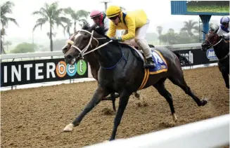  ?? / GOLD CIRCLE ?? Back on top: Everlastin­g Love appears ready to resume winning ways when she runs in Race 7 at Greyville today.
