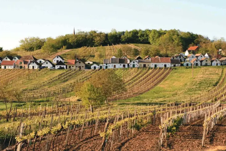  ?? Foto WTG/Weiss ?? Za obiskovalc­e so zanimive
Kellergass­en, nekakšne kletne ulice oziroma vrste »hiš brez dimnikov« ob cestah v bližini vinogradov.