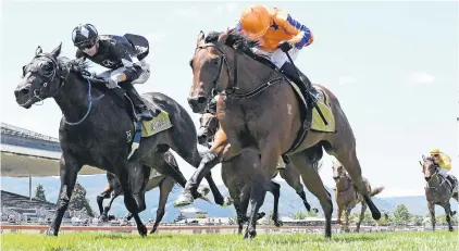  ?? PHOTO: RACE IMAGES ?? Promising beginning . . . Wolfgang (outer) finishes runnerup to Quattro Quinta in the Wellesley Stakes at Trentham last month.