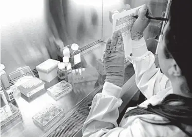  ?? STEVEN SENNE/AP ?? A scientist notes the time while testing human skin tissue with skin care products at a MatTek Corp. lab, in Ashland, Massachuse­tts.