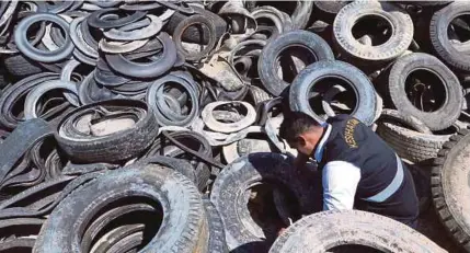  ?? PIC BY ROSELA ISMAIL ?? A Health Ministry official inspecting the discarded tyres in Batu 23, Jalan Sungai Lalang, Semenyih.