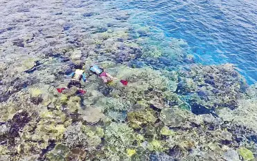  ??  ?? The snorkeling is fantastic in Palawan’s waters.