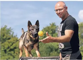  ?? FOTO: ?? Ausbildung­swart Tobias Oleynik vom Verein für Deutsche Schäferhun­de trainiert mit Basko.