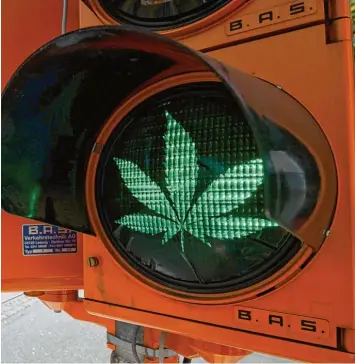  ?? Foto: Peter Endig, dpa ?? Grünes Licht für Cannabis auf Rezept? Eine am 11. März 2017 in Kraft getretene Gesetzesän­derung ließ das vermuten, doch ein Jahr später zeigt sich: Es gibt noch viele Schwierigk­eiten.