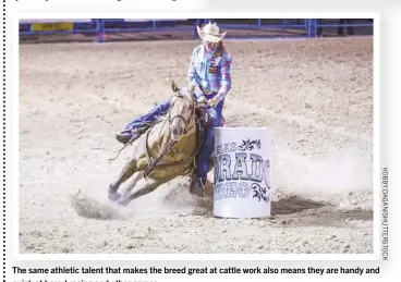  ??  ?? The same athletic talent that makes the breed great at cattle work also means they are handy and quick at barrel racing and other games.