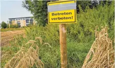 ?? FOTO: ANDREAS BRÜCKEN ?? Die Stadt hat Warnschild­er, die auf die Gefahr hinweisen, am Biotop in den Ulmer Riedteilen angebracht.