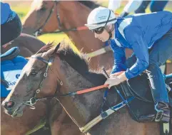  ?? Picture: GETTY IMAGES ?? TOP TEAM: Hugh Bowman on Winx at Rosehill.