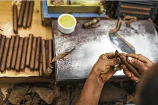  ?? Dennis M. Rivera Pichardo / Bloomberg file photo ?? A worker rolls tobacco into a cigar at the Quesada Cigars facility in Santiago de los Caballeros, Dominican Republic, in 2017.