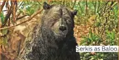  ??  ?? Serkis as Baloo.