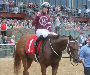  ?? The Sentinel-Record/Richard Rasmussen ?? Q Jockey Florent Geroux is led into the winner’s circle on Gun Runner after winning the Razorback Handicap at Oaklawn Park on Feb. 20, 2017.