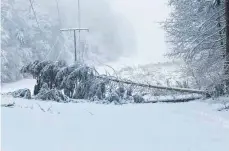  ?? FOTO: NETZE BW ?? An Dreikönig ging es los: Bäume in Freileitun­gen (hier bei Waldburg) forderten die Geduld vieler Einwohner und den Einsatz von Mitarbeite­rn der Netze BW.