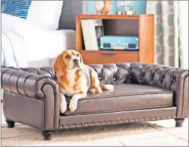  ?? [WAYFAIR] ?? The Archie & Oscar faux leather Cornelia Dog Sofa ($399.99) is made to hold up to 80-pound dogs.