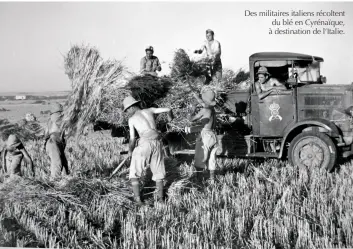 ??  ?? Des militaires italiens récoltent du blé en Cyrénaïque, à destinatio­n de l’italie.