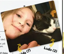  ??  ?? Dette er meg og katten min, Ludo. Vi fikk ham fra Dyrebeskyt­telsen for 3 måneder siden. Han liker å leke og kose.
Ludo