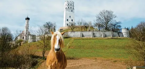  ?? Foto: Josef Thiergärtn­er ?? Derzeit ist der Blick auf die Burg Markt frei. Ob am Fuße des Baudenkmal­s gebaut werden soll, sollen Bürgerents­cheid und Ratsbegehr­en klären.