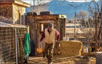  ?? ?? LEFT: The rise in egg prices is mainly due to the avian influenza, which has been ravaging chicken farms since January 2022. According to the U.S. Centers for Disease Control and Prevention, more than 58 million poultry birds have been affected by this disease in the U.S. as of Feb. 15. RIGHT: Farmer Carlos Arguello collects eggs from his hens Monday (Feb. 21) at El Tros Farm. Arguello, who has around 40 hens, sells his eggs to a loyal customer base in Taos. Like other egg farmers, Arguello has had to raise the price of his eggs in response to the increased cost of feed.