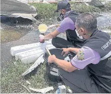  ?? POLLUTION CONTROL DEPT ?? Officials take water samples around the factory. Styrene monomers are feared to have seeped into the groundwate­r.