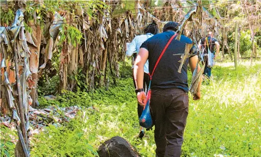  ??  ?? Semienterr­ado. El cadáver del agente policial fue encontrado semienterr­ado cerca de un río. Personal policial participó en su recuperaci­ón.