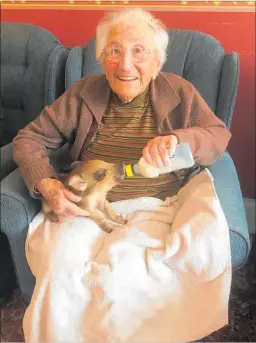  ?? PICTURE / MARILYN WILLIAMSON ?? Nancy Francis feeds a little friend during an activity at Virginia Lodge Rest Home.