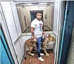  ??  ?? Ahsraf El-Helw, rides the elevator with Joumana, a 5year-old African lioness.