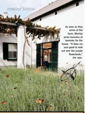  ??  ?? As soon as they arrive at the farm, Marliza picks bunches of lavender for the house. “It does my soul good to look out over the purple flowerbeds,” she says.