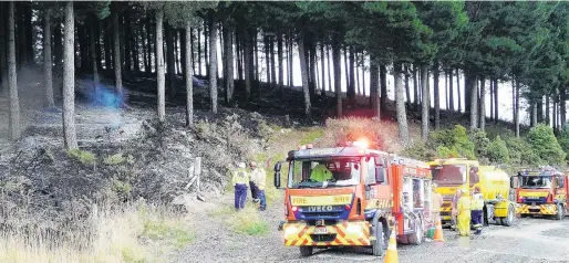  ?? PHOTO: RICHARD DAVISON. ?? Trying times . . . The long, dry summer affected Port Otago’s log exports; pictured, firefighte­rs discuss plans to extinguish a forestry fire near Milton, estimated to have covered 12ha, in late February.