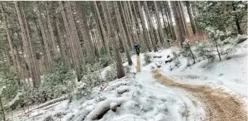  ?? —photo fournie ?? Il n’y a pas encore assez de neige pour ouvrir les pistes de ski de fond et de motoneige de la forêt Larose mais juste assez pour rendre les pistes cyclables plus intéressan­tes pour les utilisateu­rs de fatbikes.