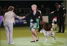  ??  ?? „ Ms Short is congratula­ted on her dog’s title win. Pictures: PA