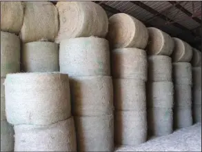  ?? The Sentinel-Record/Richard Rasmussen ?? HAY APLENTY: Bales await delivery inside one of the Moore family farm’s barns.