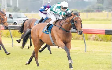  ?? Photo / Race Images ?? Bizzwinkle is aiming for back-to-back success in the Stratford Cup today.