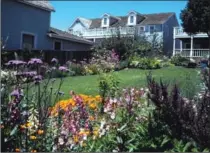  ?? HANDOUT, TNS ?? Narrow planters all around your yard can be packed with annuals this year to fill spaces between establishe­d perennials.