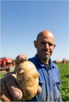  ??  ?? Le Noirmoutri­n David Penisson pratique une pêche artisanale respectueu­se de l’environnem­ent, pour ramener bars, daurades, lieux jaunes…
Jérôme Durand cultive les fameuses pommes de terre nouvelles de Noirmoutie­r. La bonnotte, variété avec laquelle est arrivé le succès médiatique, ne représente que 1 % de la production.