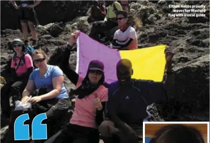  ??  ?? Eithne Hobbs proudly waves her Wexford flag with a local guide